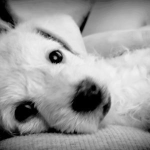 Meet your Posher, Tamara